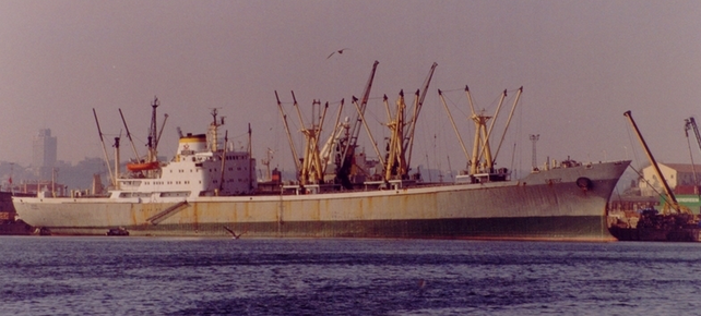 Gemiler ve yalnız denizcileri resim: 0