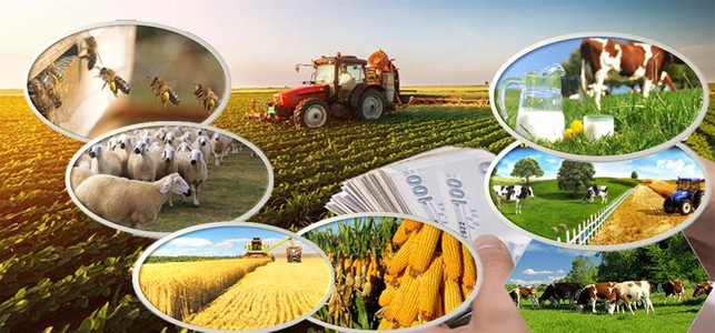 2023 yılında çiftçiye ödenecek tarımsal destek belli oldu resim: 0