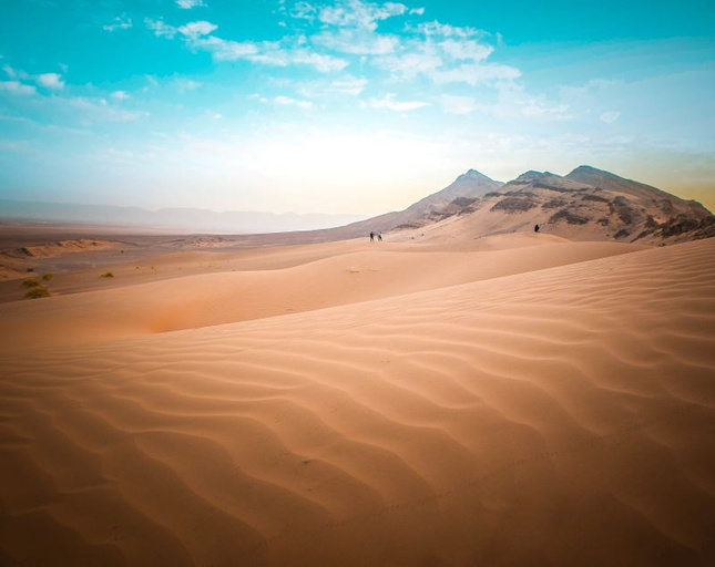 Sahra Çölü'nün gizemli olayı: 21.000 yılda bir toprakları yemyeşil oluyor! Peki nasıl? resim: 0