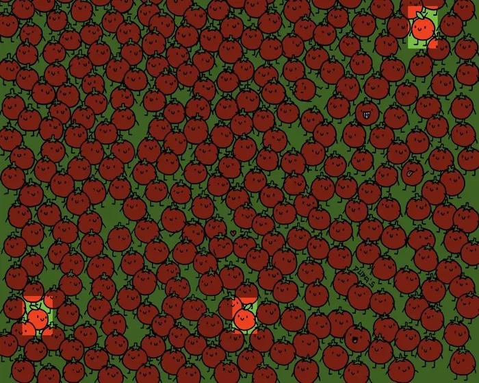 Domateslerin arasındaki gizli çilekleri bulan kazanıyor! resim: 0