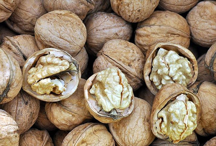 Beyin hücrelerini yenileyen mucizevi besinler!  resim: 1