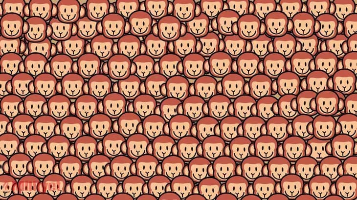 Görselde üzgün bir maymun bulunuyor: Keskin gözlere sahip olanlar bu farkı 6 saniyede buluyor! resim: 0