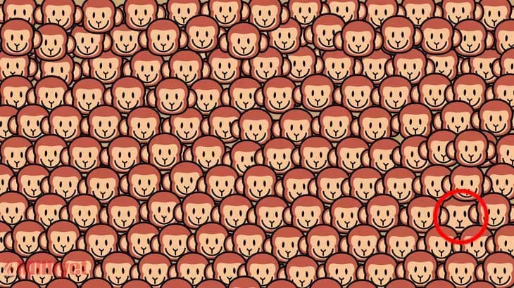 Görselde üzgün bir maymun bulunuyor: Keskin gözlere sahip olanlar bu farkı 6 saniyede buluyor! resim: 1