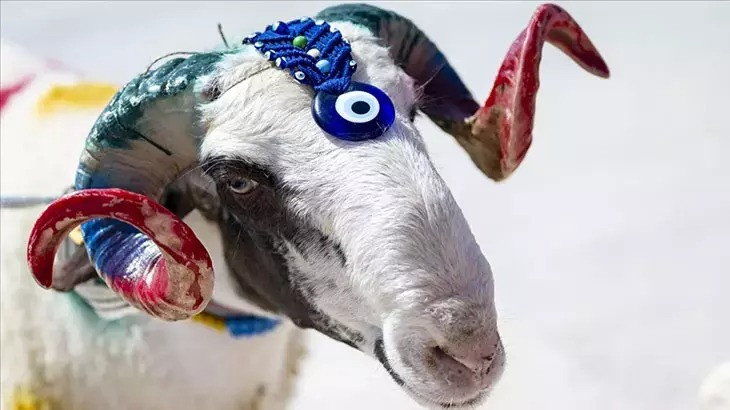 2026 Kurban Bayramı Ne Zaman, Kaç Gün Tatil? İşte Diyanet Takvimine Göre Bayram Tarihleri! resim: 0