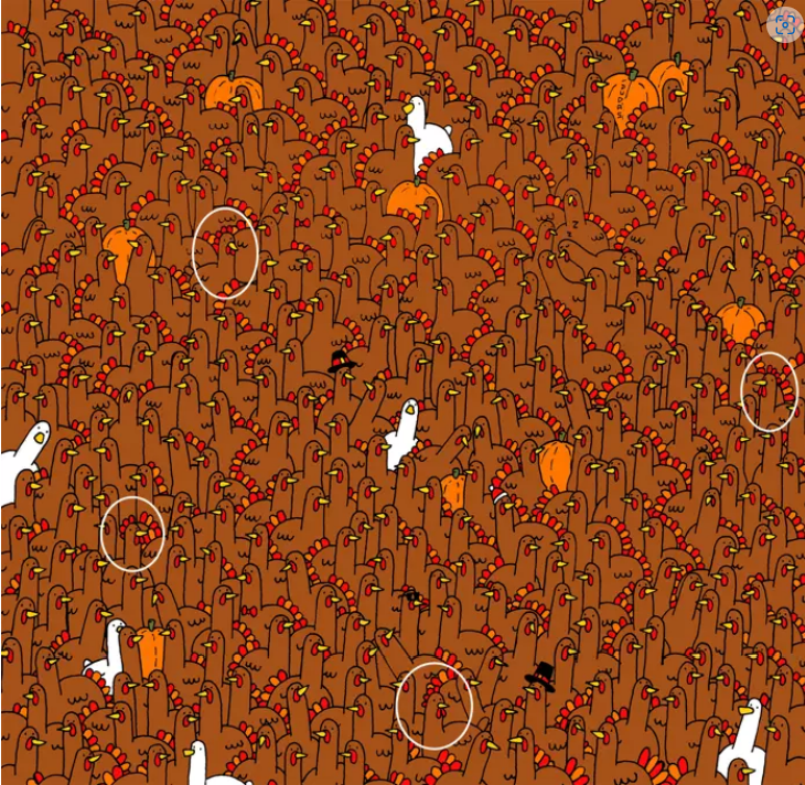 Görsel zeka testi: 30 saniyede görseldeki 4 horozu bulabilecek misiniz? resim: 1