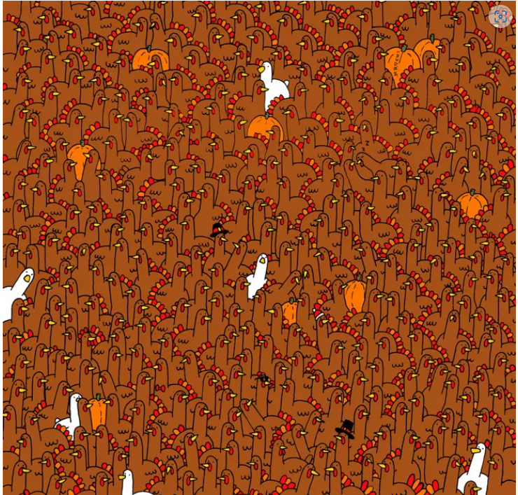 Görsel zeka testi: 30 saniyede görseldeki 4 horozu bulabilecek misiniz? resim: 0