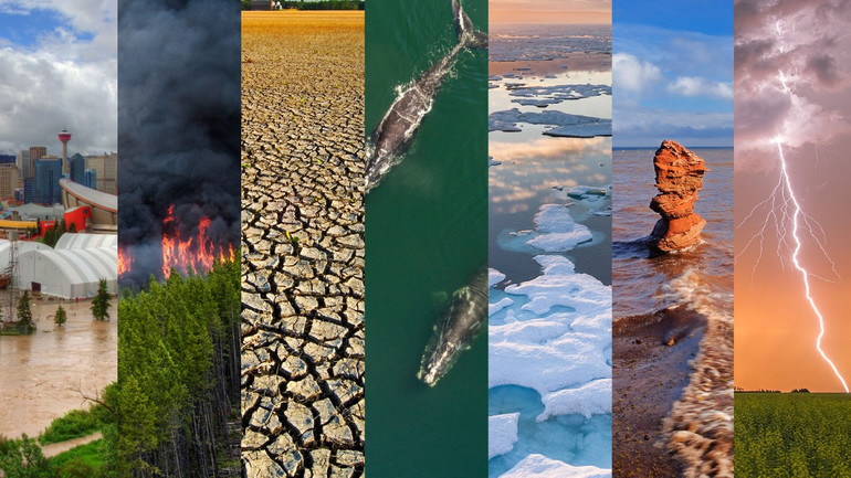 Türkiye iklim değişikliği ile mücadele için hangi adımları atıyor? İşte iklim yasası detayları! resim: 0