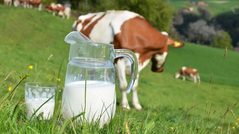 Süt fiyatlarına yeniden zam geldi! Süte yapılan zam diğer süt ürünlerine de yansıdı! resim: 0
