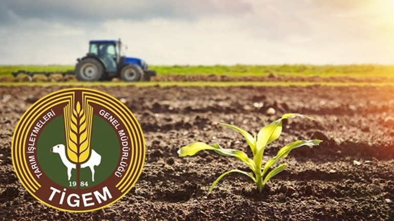 TİGEM, 2023 yılında damızlık koyun ve keçi, koç teke ve toklu çebiç fiyatlarını yükseltti! resim: 0