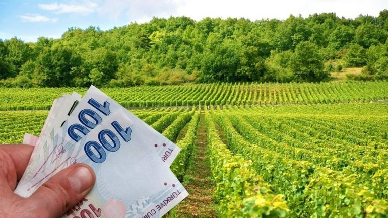 Çiftçilere yeni kredi verilecek! Faizsiz kredi için şartlar belli oldu! resim: 0