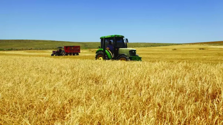 Tarımda 'Dijital Reçete' 1 Temmuz'da Başlıyor! Artık İlaçlar 'Doktor Kontrolü' Gibi Olacak resim: 0