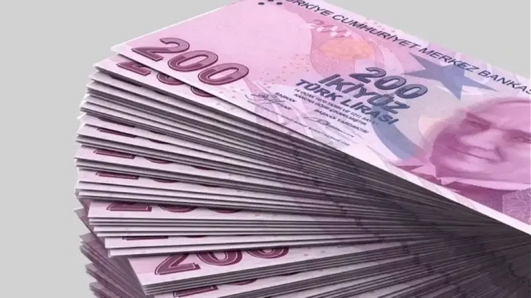 Vatandaşlık Maaşı Ne Zaman Başlıyor? Vatandaşlık Maaşı Nedir, Kimler Yararlanacak, Ne Kadar Olacak?  resim: 1