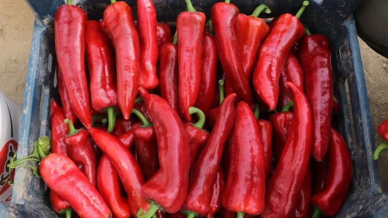 7 Liraya Alıp 200 Liraya Sattılar! Bakanlık Tek Tek İfşa Etti: İşte O Fahiş Fiyat Listesi resim: 0