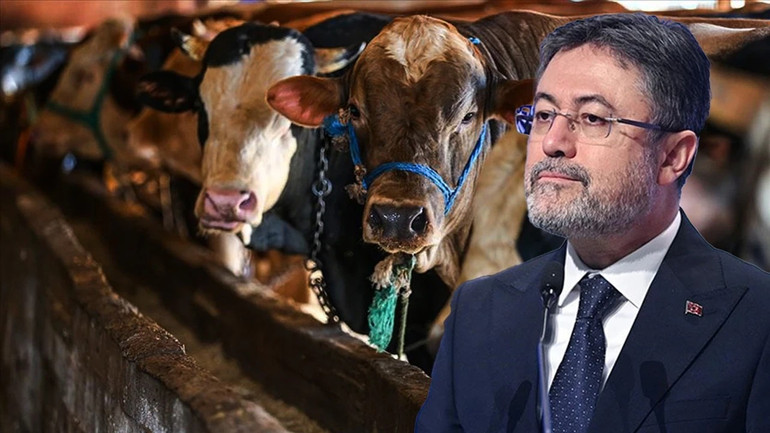 Üreticiye Müjde: Elde Kalan Kurbanlıkları Et ve Süt Kurumu Satın Alacak! resim: 0