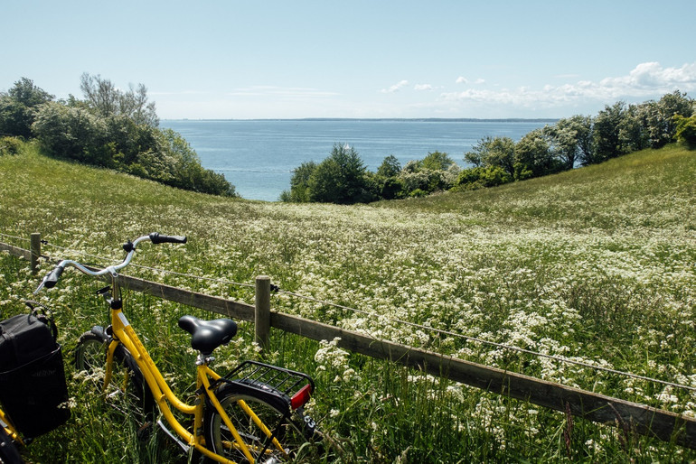 Kardeş hatıraları ve LaLoRoPa'nın hikayesi resim: 3