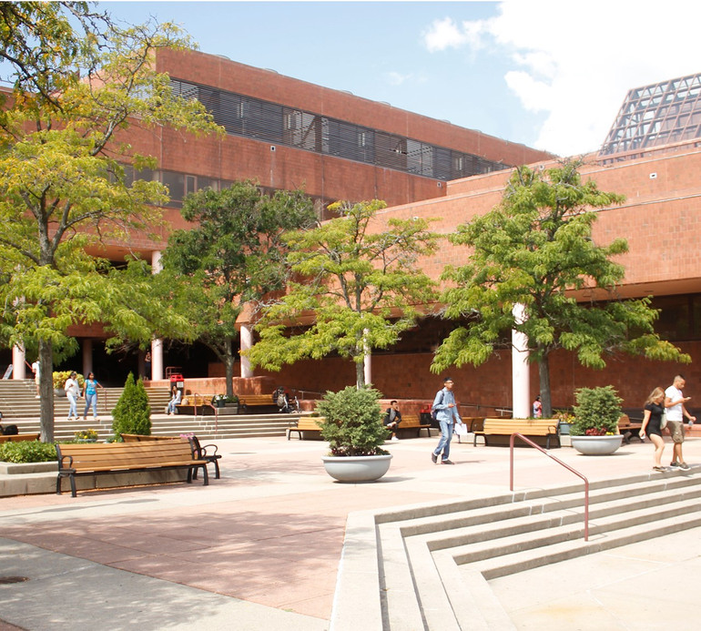 Laboratuvar Temizlikçisi Alarmı Kapatmak İçin Dondurucuyu Kapattı, Yılların Araştırması Yok Oldu! resim: 0