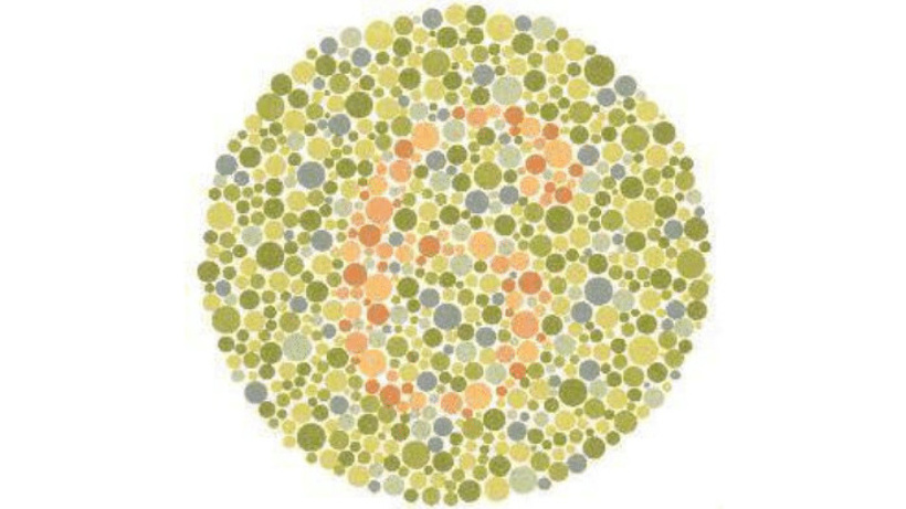 Normal görenler 6 olarak görür. Tüm renklere karşı kör olanlar hiçbir sayı göremez.


