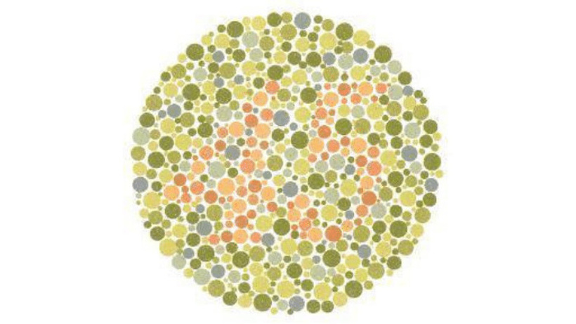 Normal görenler 45 olarak görür. Tüm renklere karşı kör olanlar hiçbir sayı göremez

