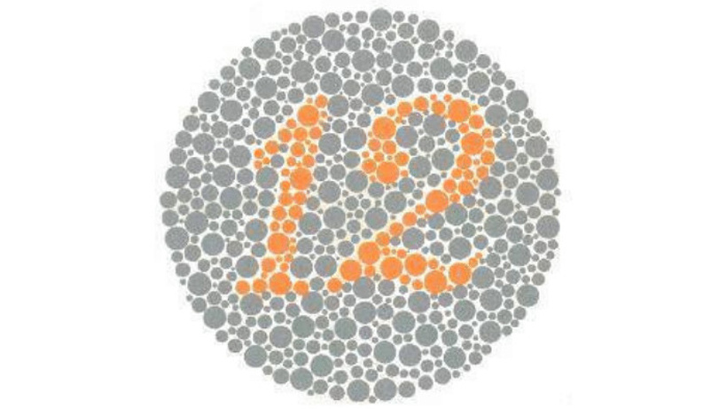 Aşağıdaki sayıyı renk körü olanlar ve normal görenler 12 olarak görürler.

