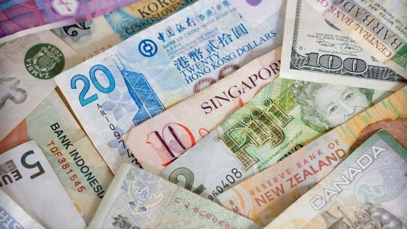 Banknot şeklindeki bütün yabancı ülke paralarıdır.