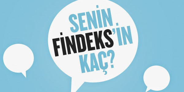 Nasıl Findeks Raporu Alınır ve Findeks Raporu Ne İşe Yarar?