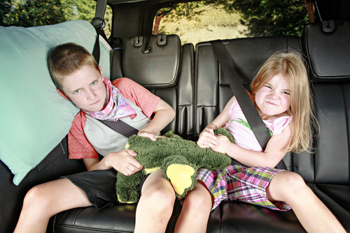 Kardeşler Arası Çatışmayı Engellemek İçin 8 İpucu