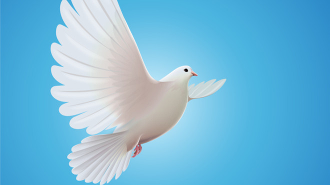 2018 Milli Piyango Kaç Para Verecek, Bilet Fiyatları Ne Kadar?