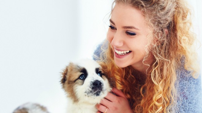 KEDİ YA DA KÖPEK ALIN