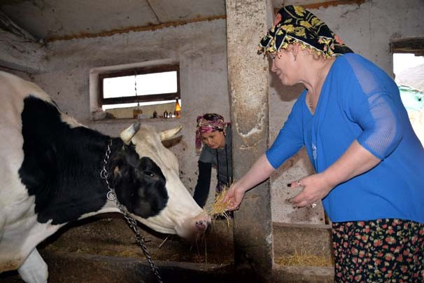 Kadın girişimcinin başlattığı şehir hayatından kaçanlara ilaç olacak turizm projesi