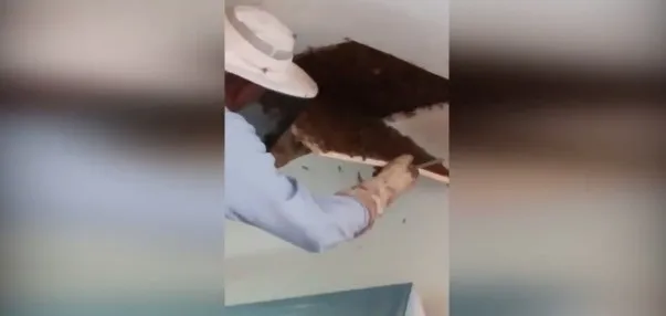 6 ay boyunca evinde aynı sesleri duydu! Gerçek ise...