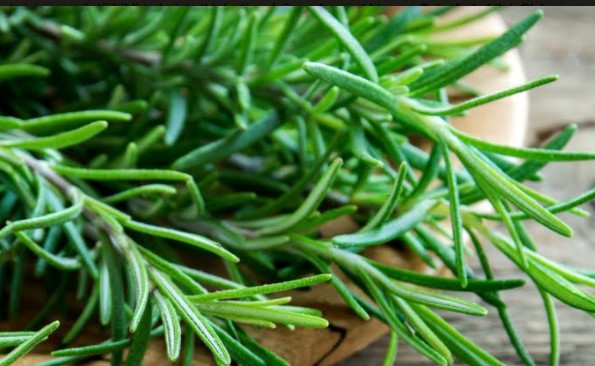 Vücutta ödem söktüren 10 besin