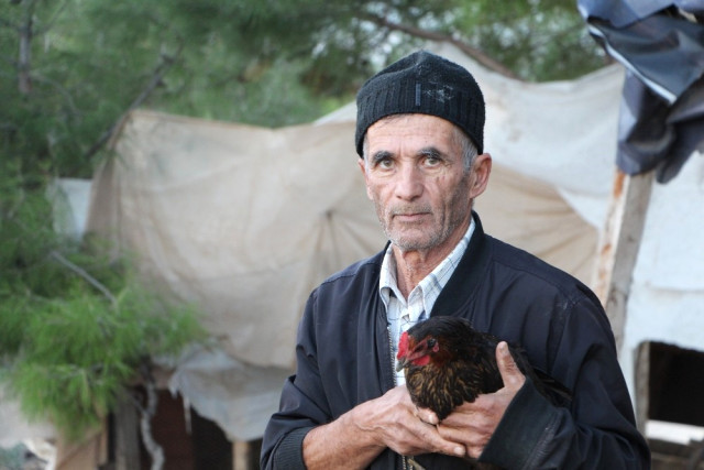 Son 1600 Lirası İle Tavuk Çiftliği Kurdu