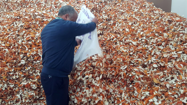 Portakal Kabuklarını Atmayın, Kilosu 4 Lira