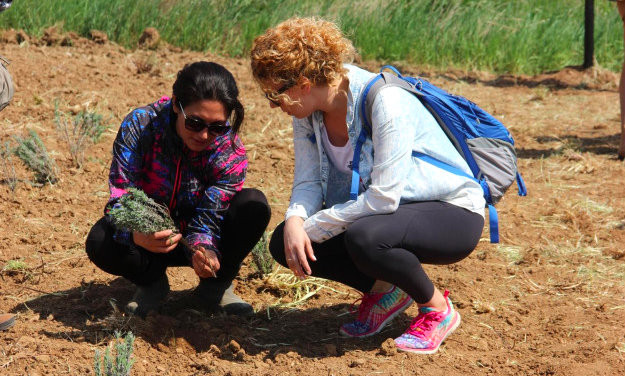 Trakya Bölgesinde Üretiliyor Litresi 100 Euro'dan Satılıyor