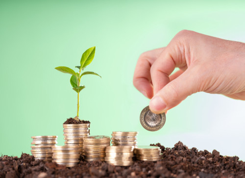 Çıkış Yolu: Tasarruf