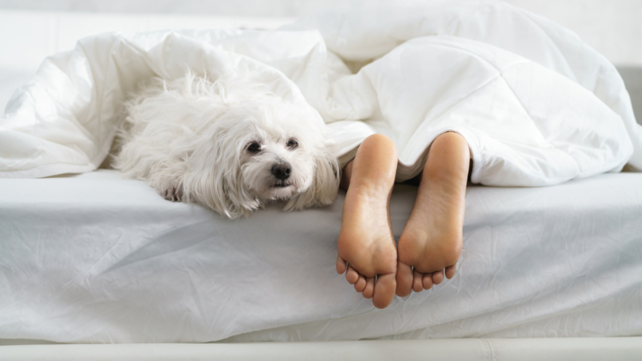 Mükemmel bir pazartesi için pazar ritüelleri!