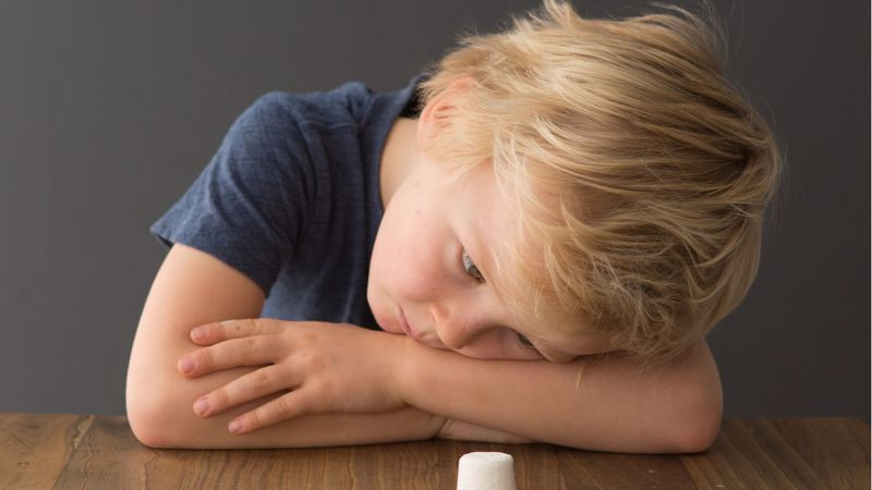 Marshmallow Testi Nedir? 