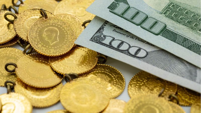 Birikimimle İş mi Kurmalıyım Dolarda veya Altında mı Tutmalıyım? 