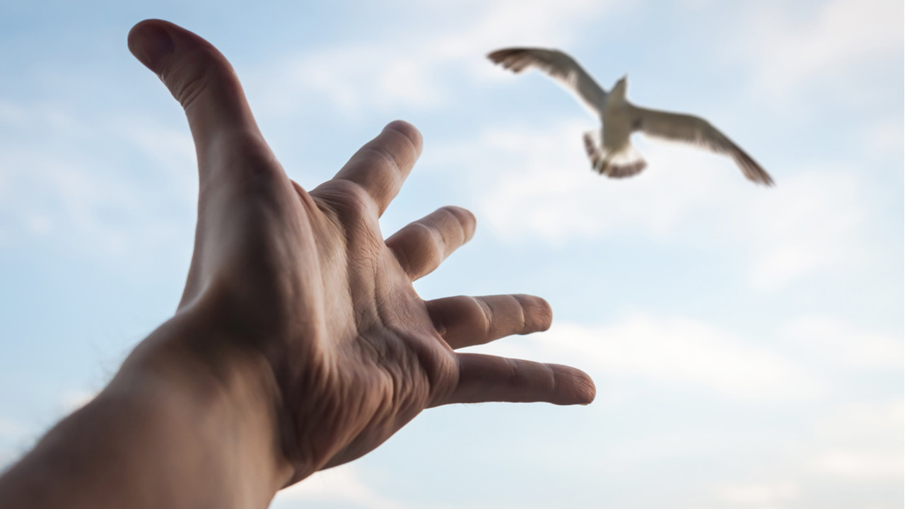 Aldıklarını Hayattaki Döngüye ‘Geri’ Vermek