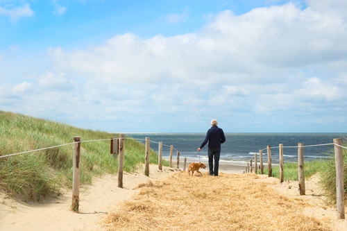 Her Vazgeçiş Bir Seçiştir!