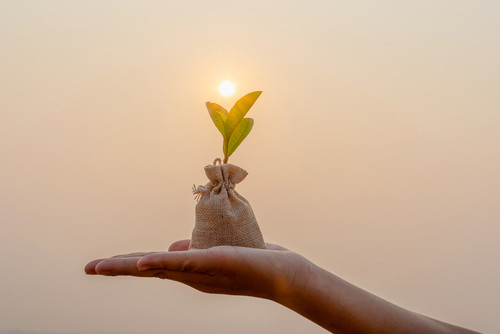 Finansal İyilik Hali’ne Giden Adımlar