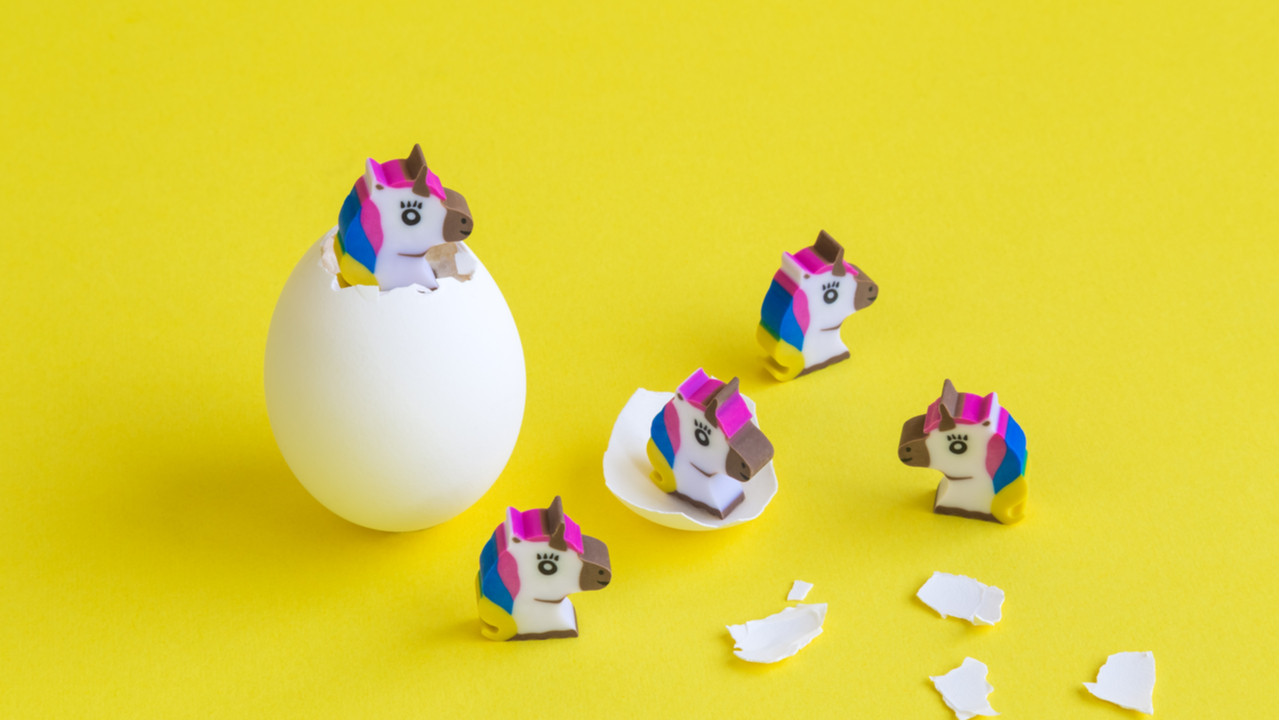 Nasıl Unicorn Olunur?