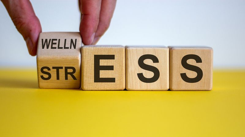 Stresinizi Yönetme Konusunda Ne Kadar Başarılısınız? 
