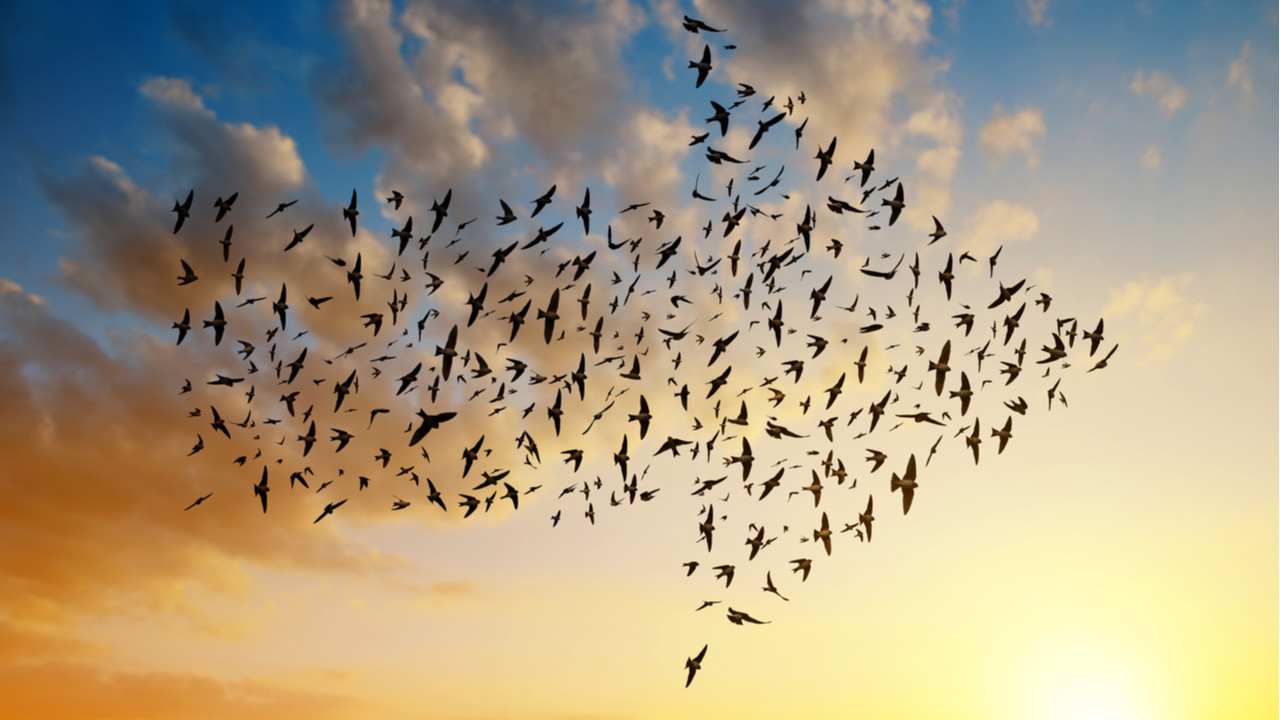 İlişkiler Arası Finansal Uyum Nasıl Sağlanır?