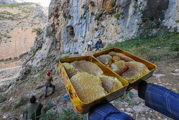Zirvedeki bal! Altın kadar değerli