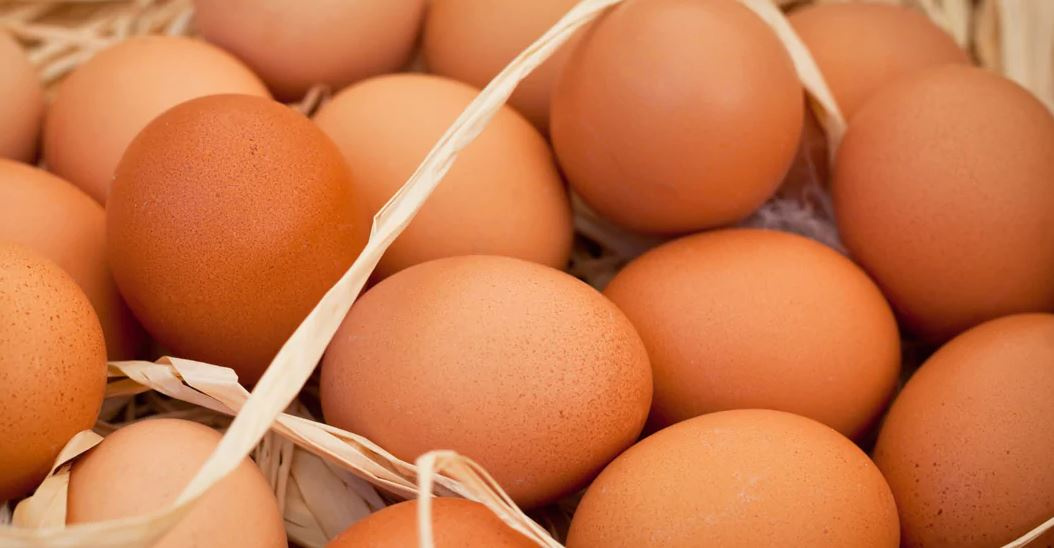 Bir yumurtanın organik olduğu nasıl anlaşılır?