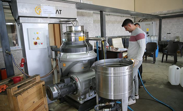 Hatay'da zeytin hasadı başladı! 270 bin ton rekolte bekleniyor - Sayfa: 3