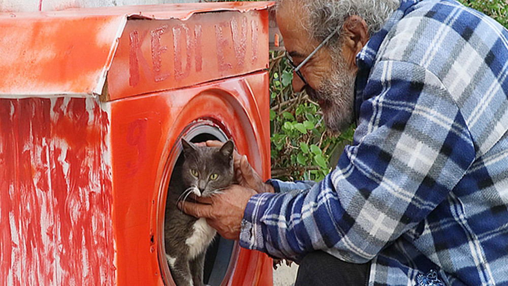 Kedilere hurda çamaşır makinesinden yuva yapıyor