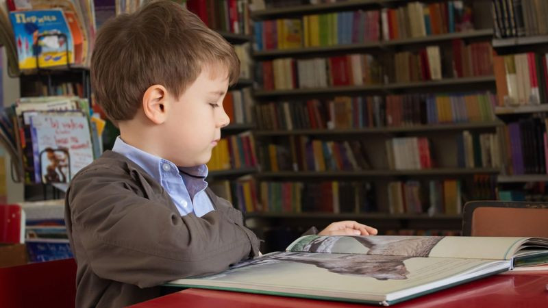 8 Yaşındaki Çocuk Yazdığı Kitabı Gizlice Kütüphane Rafına Koydu! Peki Sonra Ne Oldu?  