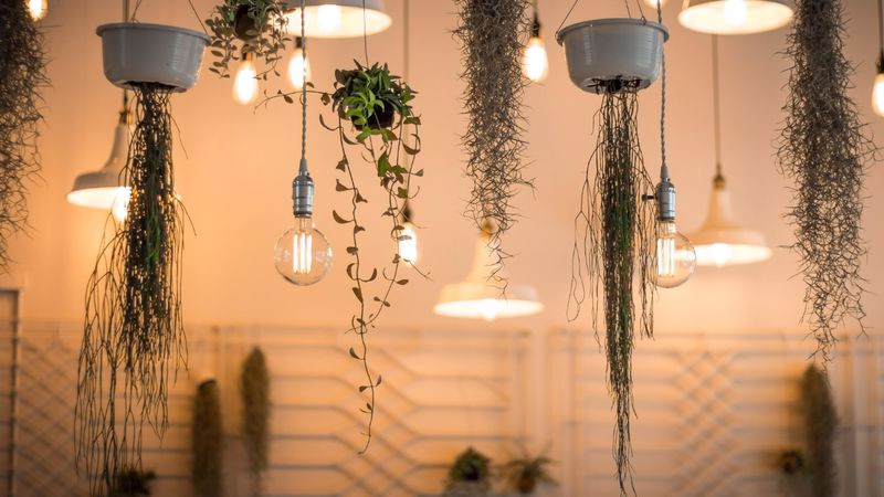 Evinizde Enerji Verimliliğini Nasıl Artırırsınız?